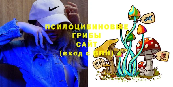 метадон Новодвинск