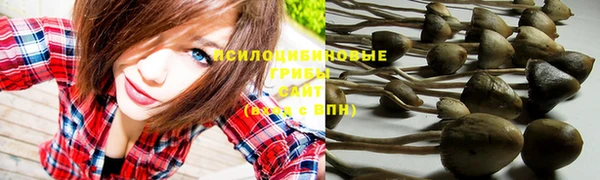 марки nbome Новокубанск
